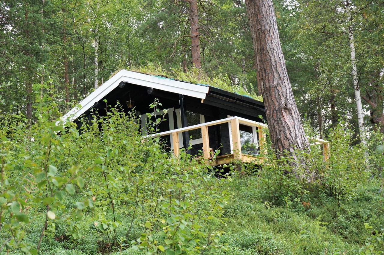 Bed and Breakfast Birk Bed & Birds Svanvik Экстерьер фото
