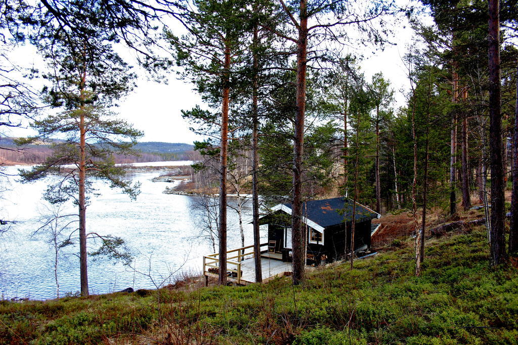 Bed and Breakfast Birk Bed & Birds Svanvik Экстерьер фото